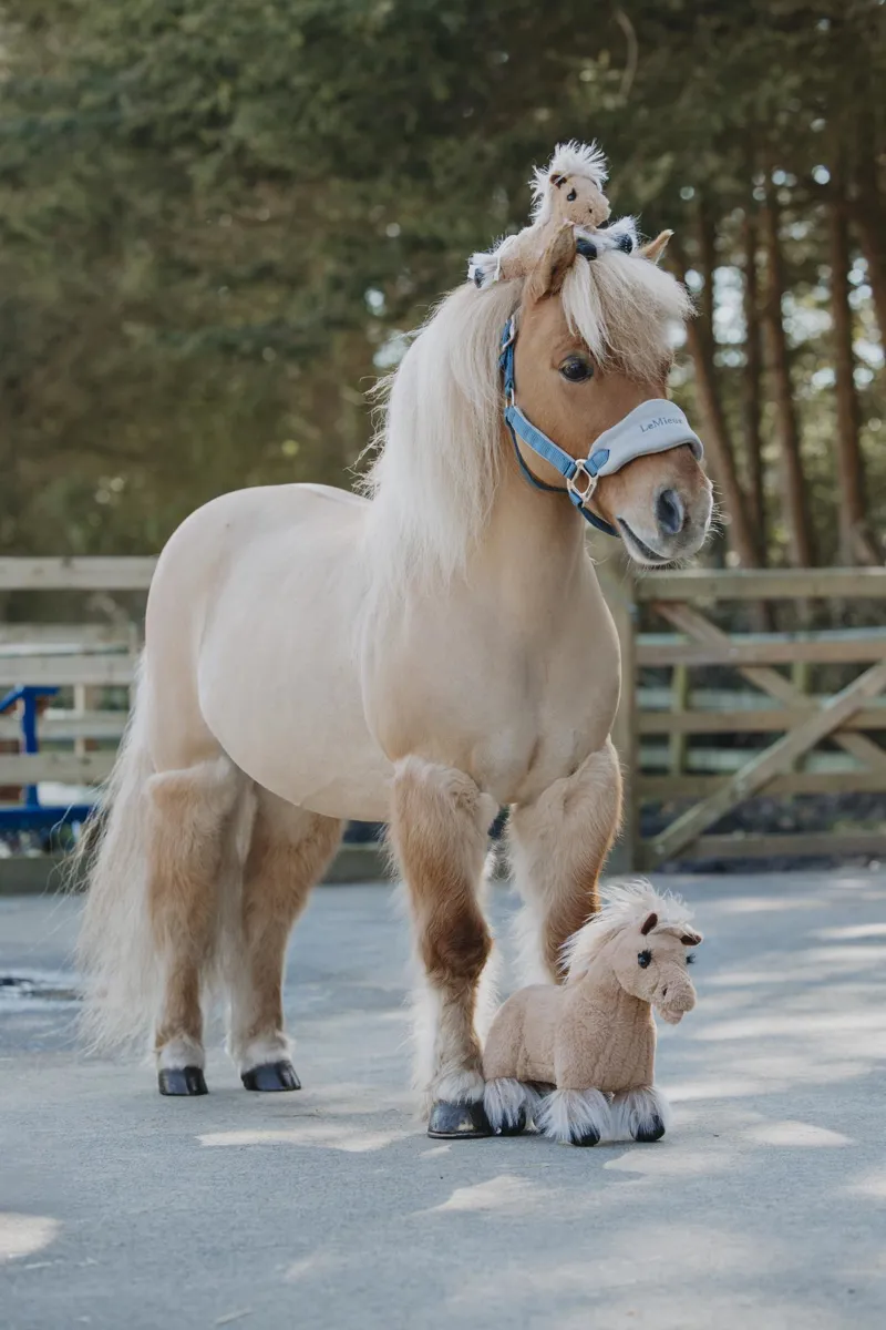 LeMieux Harlow Tiny Beanie Pony Popcorn-1