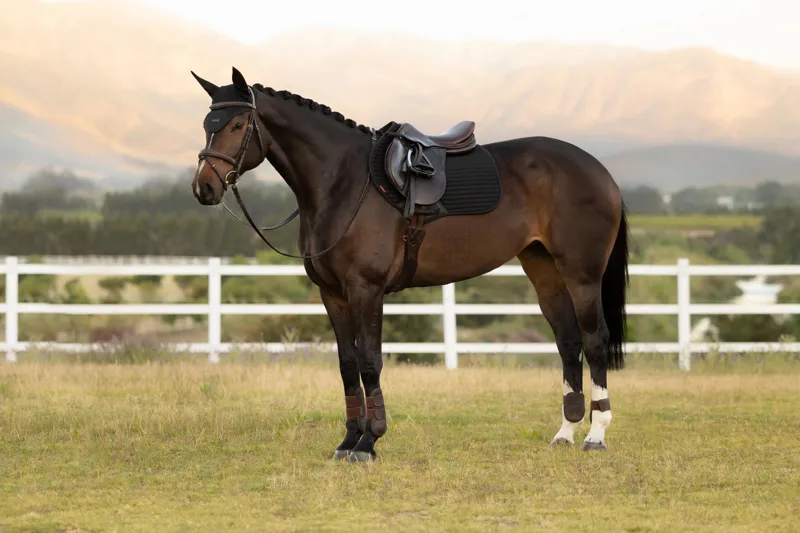 LeMieux Air-Tek Mesh Close Contact Square in Black-1