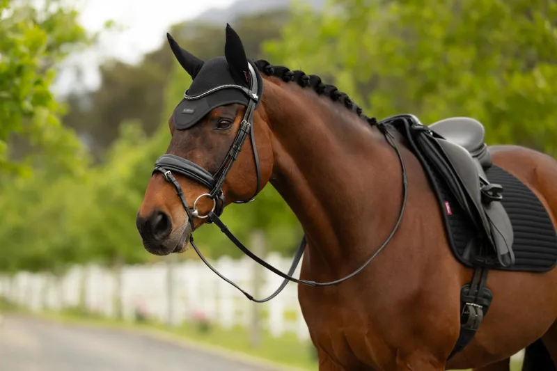  LeMieux Air-Tek Mesh Fly Hood in Black-1