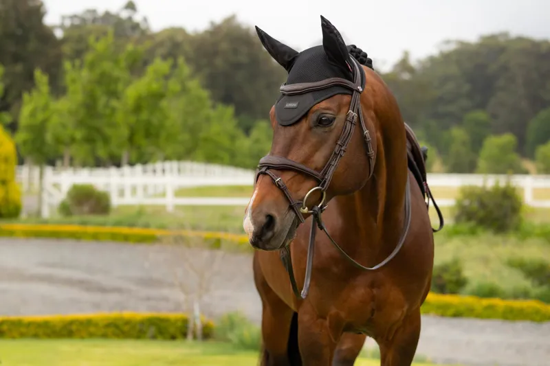  LeMieux Air-Tek Mesh Fly Hood in Black-3