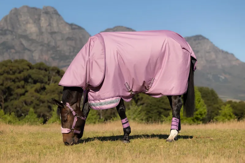 LeMieux Arika Ripstop 0g Turnout Rug in Fondant-5