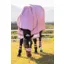 LeMieux Arika Ripstop 0g Turnout Rug in Fondant