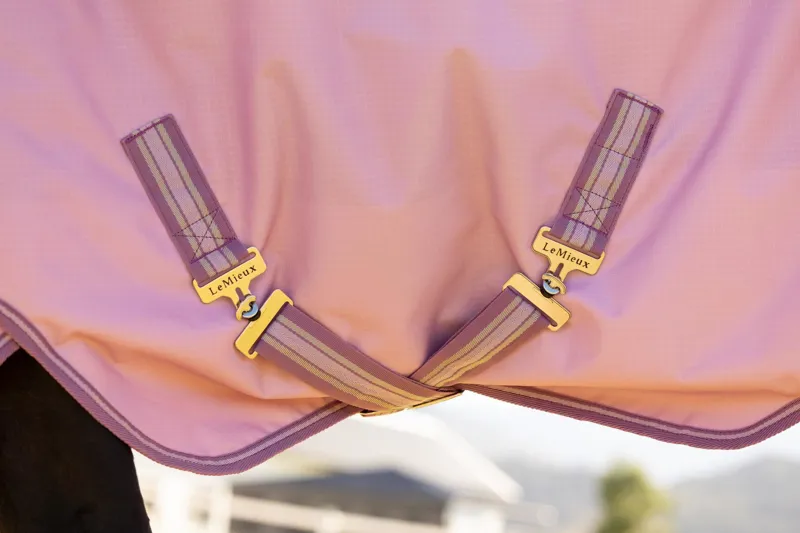 LeMieux Small Arika Ripstop 0g Turnout Rug in Fondant-1