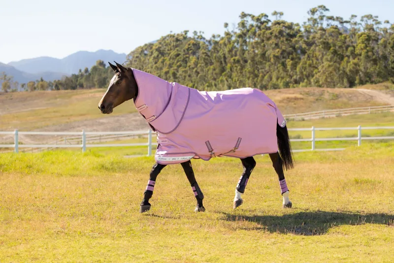  LeMieux Arika Ripstop 50g Turnout Rug in Fondant