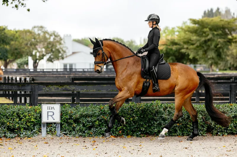 LeMieux Brilliance Dressage Square Black-2