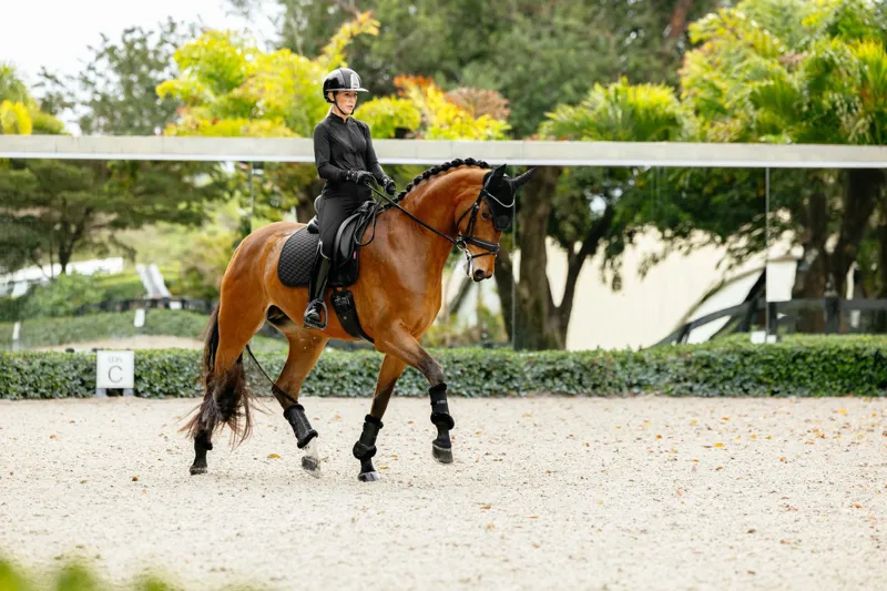 LeMieux Brilliance Dressage Square Black-3