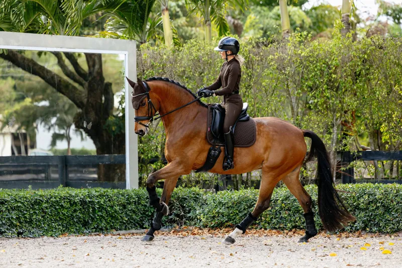  LeMieux Brilliance Dressage Square Espresso-3