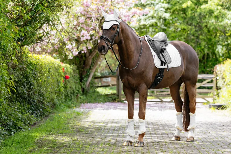 LeMieux Brilliance Dressage Square White-5