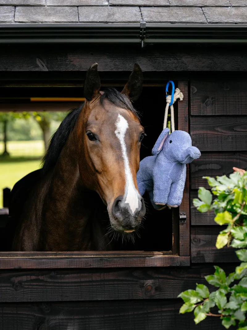 LeMieux Plush Horse Toy Elephant-4