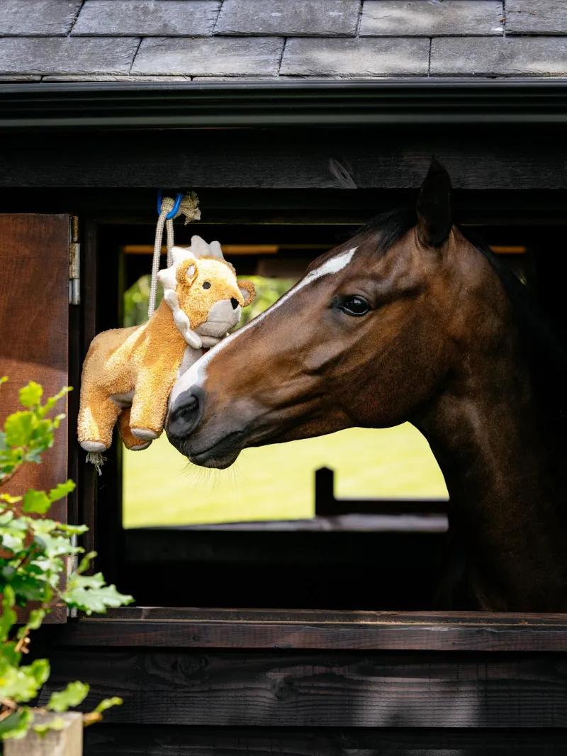 LeMieux Plush Horse Toy Lion-2