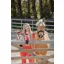 LeMieux Toy Rider Harlow in Coral Crush