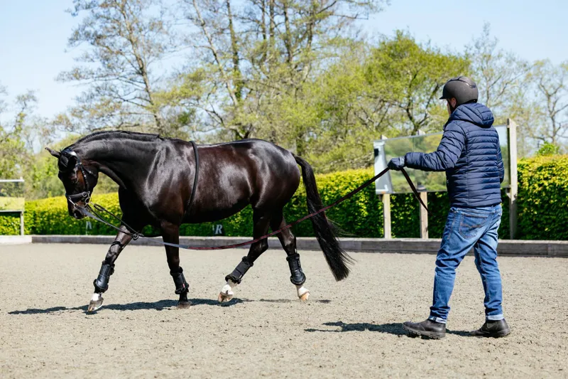 LeMieux Rope Lunging Aid Black-1