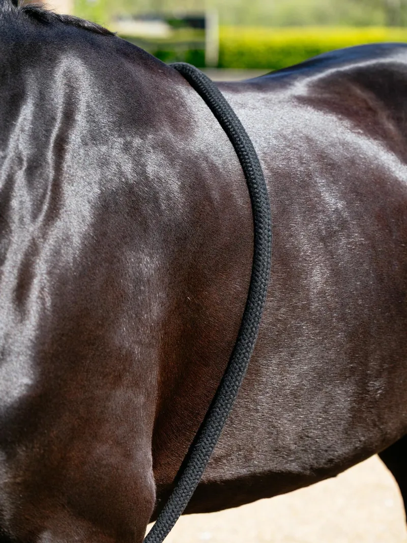 LeMieux Rope Lunging Aid Black-3