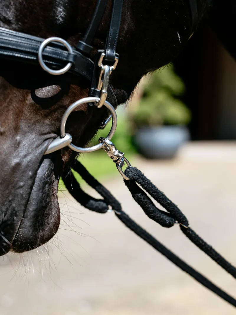 LeMieux Rope Lunging Aid Black-4