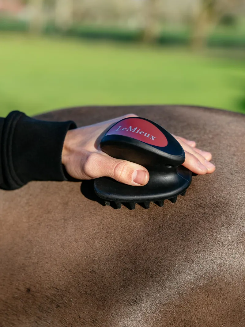 LeMieux Massage Brush in Black-2