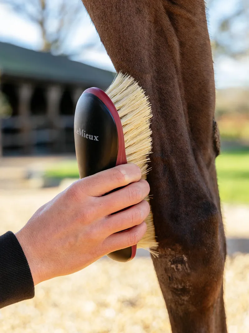 LeMieux Dandy Brush in Black-2