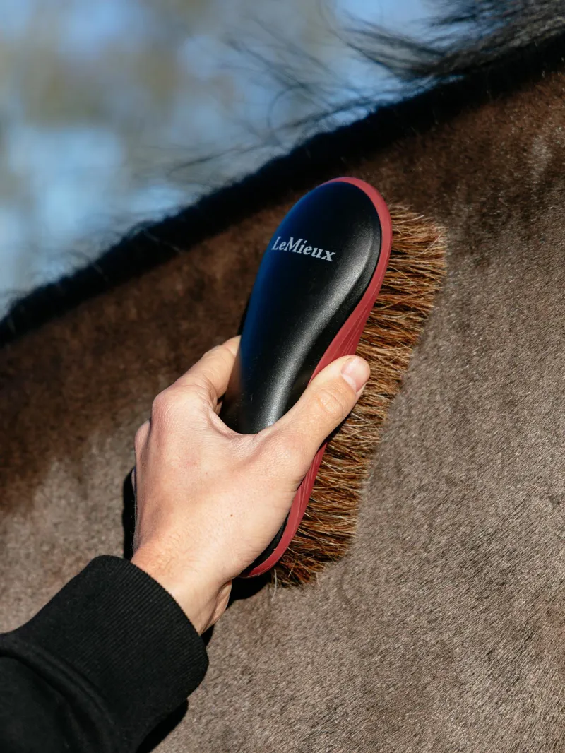 LeMieux Body Brush in Black-2