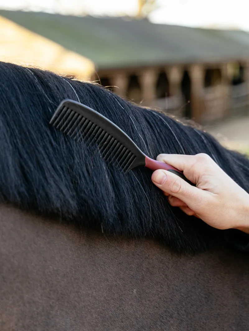 LeMieux Mane Comb in Black-1
