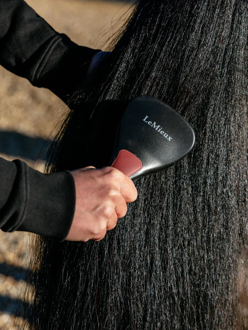 LeMieux Tail Brush in Black-2