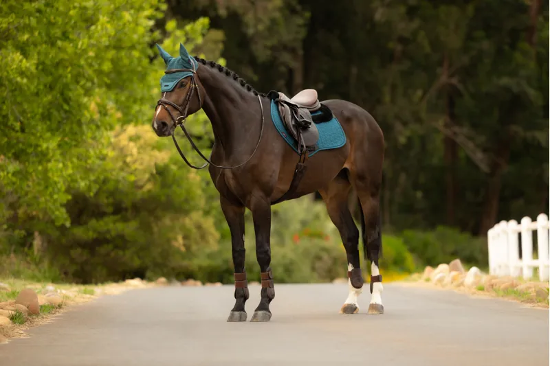 LeMieux Merino+ Essence Close Contact Square in Jungle-1