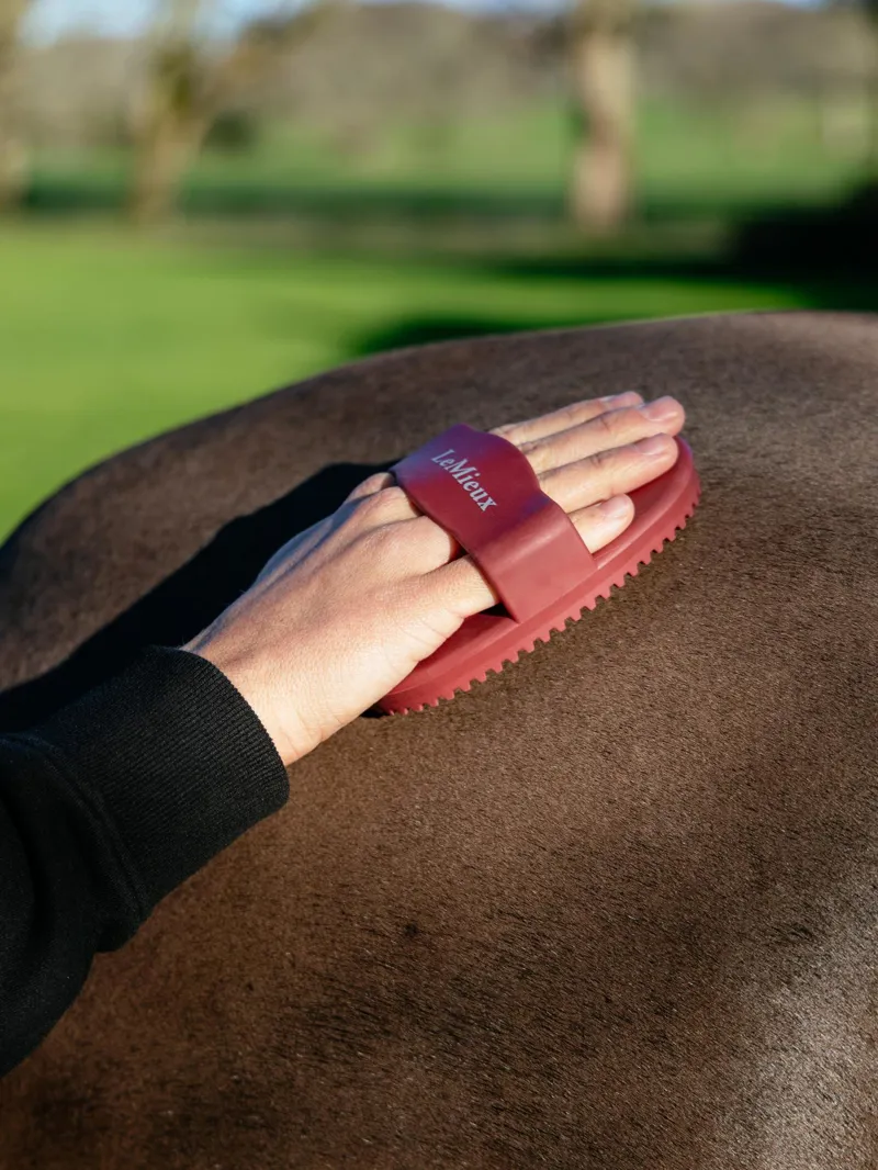 LeMieux Rubber Curry Comb in Red-2