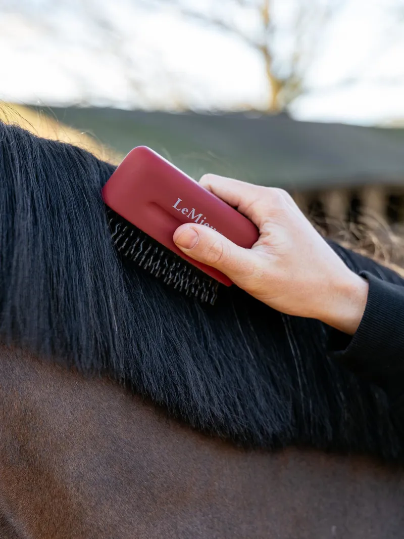 LeMieux Mane Tamer in Red-2