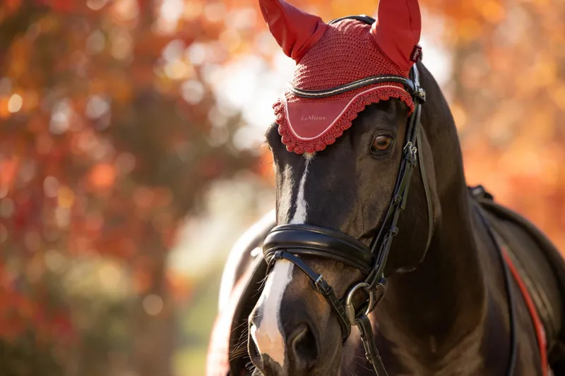 LeMieux Classic Fly Hood in Russet-1