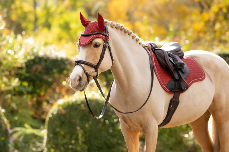 LeMieux Classic Fly Hood in Russet-2