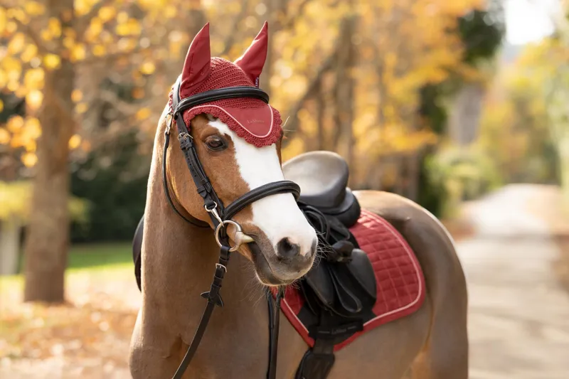 LeMieux Classic Fly Hood in Russet-3