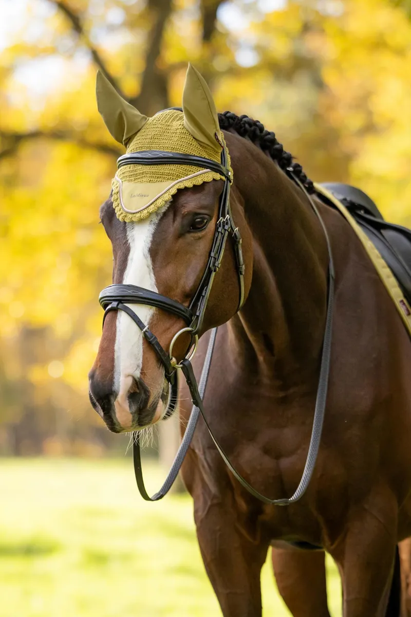 LeMieux Classic Fly Hood in Gooseberry-1