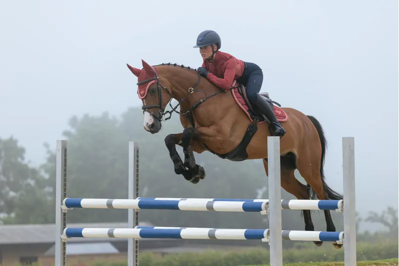  LeMieux Loire Classic Close Contact Square in Russet-4