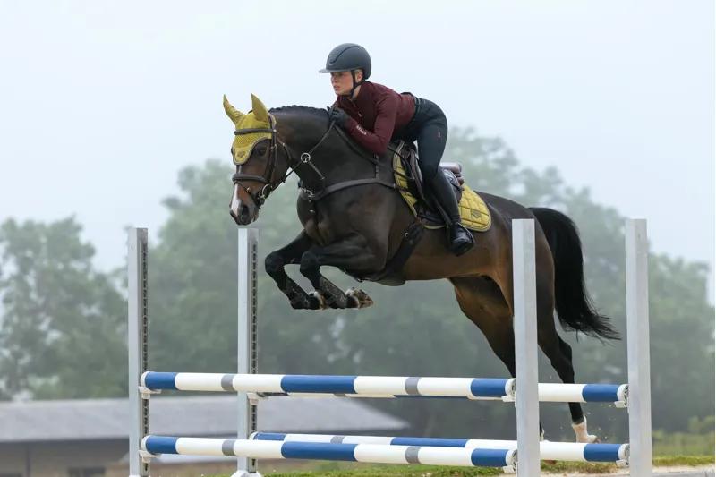  LeMieux Loire Classic Close Contact Square in Gooseberry-1