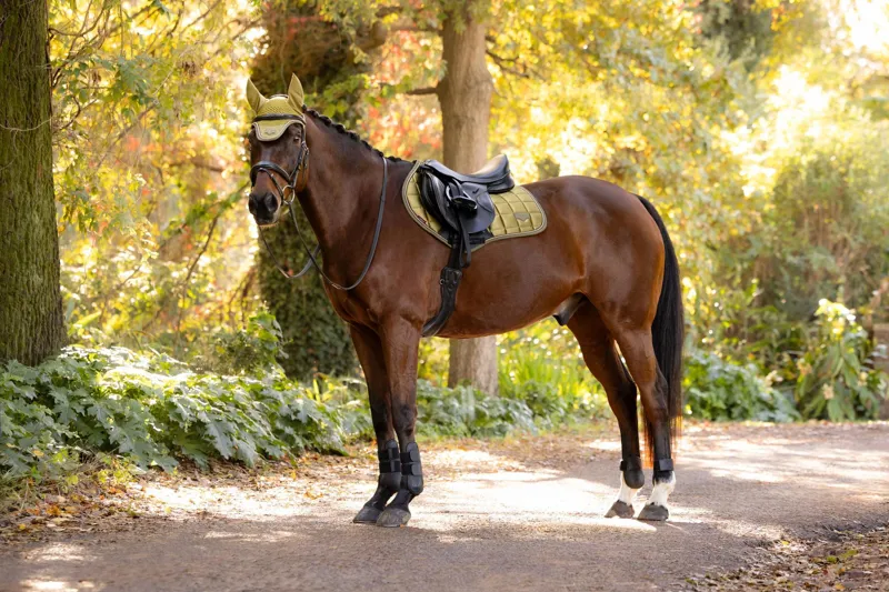  LeMieux Loire Classic Close Contact Square in Gooseberry-3