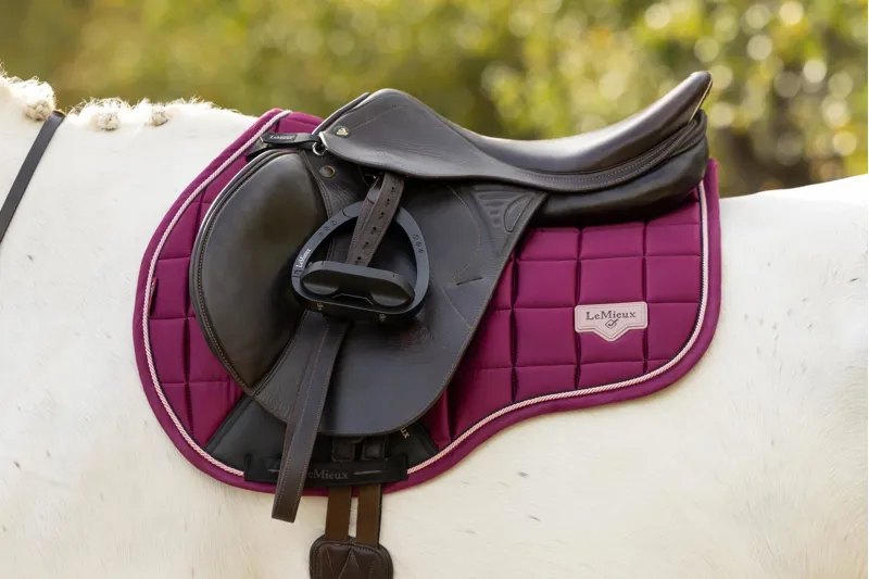 LeMieux Loire Classic GP Square in Blackberry-3
