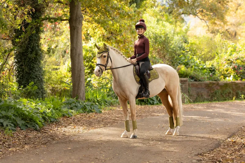  LeMieux Loire Classic GP Square in Gooseberry-1