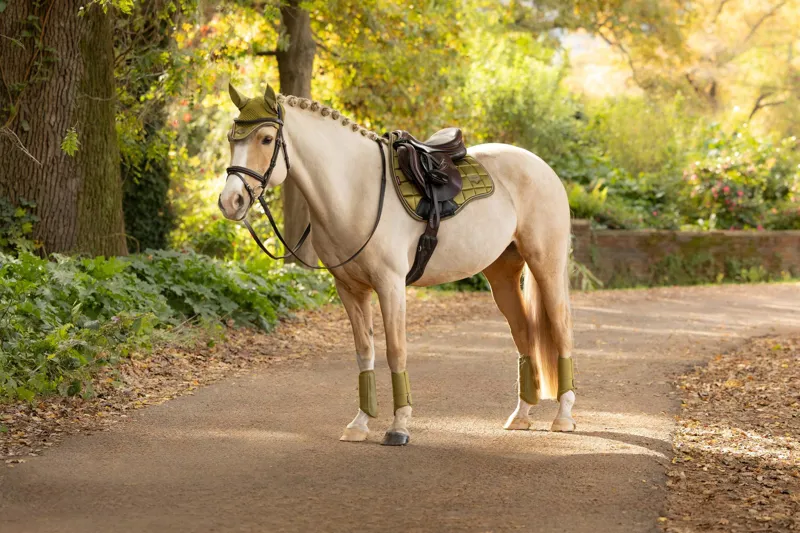  LeMieux Loire Classic GP Square in Gooseberry-2