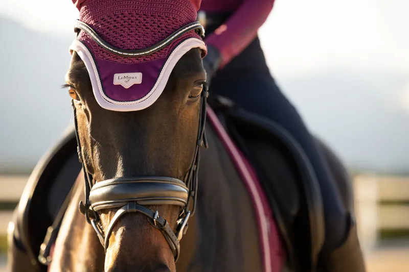 LeMieux Loire Fly Hood in Blackberry-2
