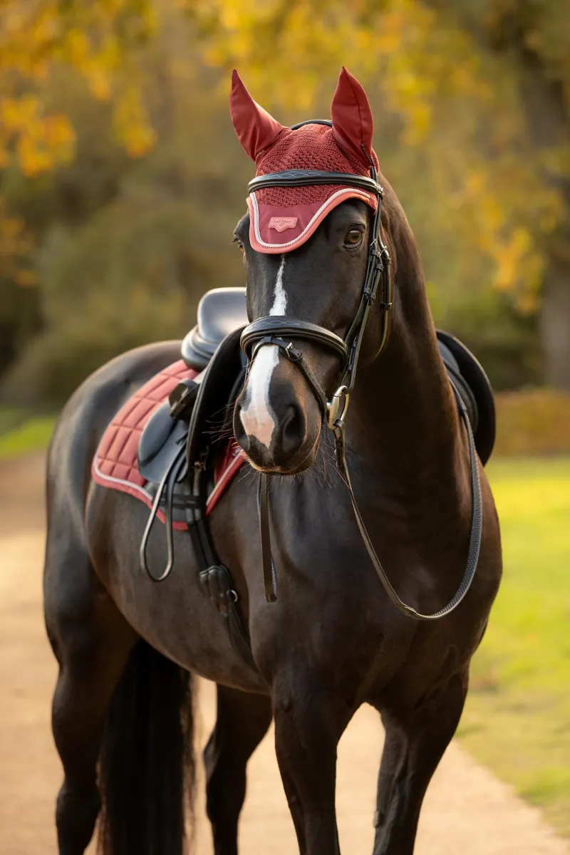 LeMieux Loire Fly Hood in Russet-2