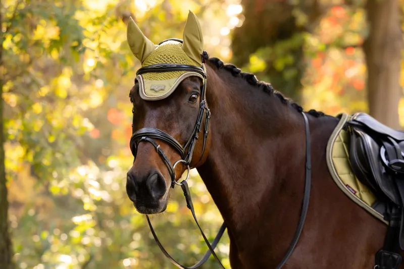 LeMieux Loire Fly Hood in Gooseberry-3