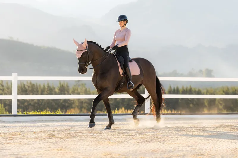 LeMieux Essence Dressage Square in Wild Rose-1