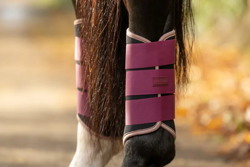 LeMieux Air-Tek Grafter Brushing Boots in Blackberry-3