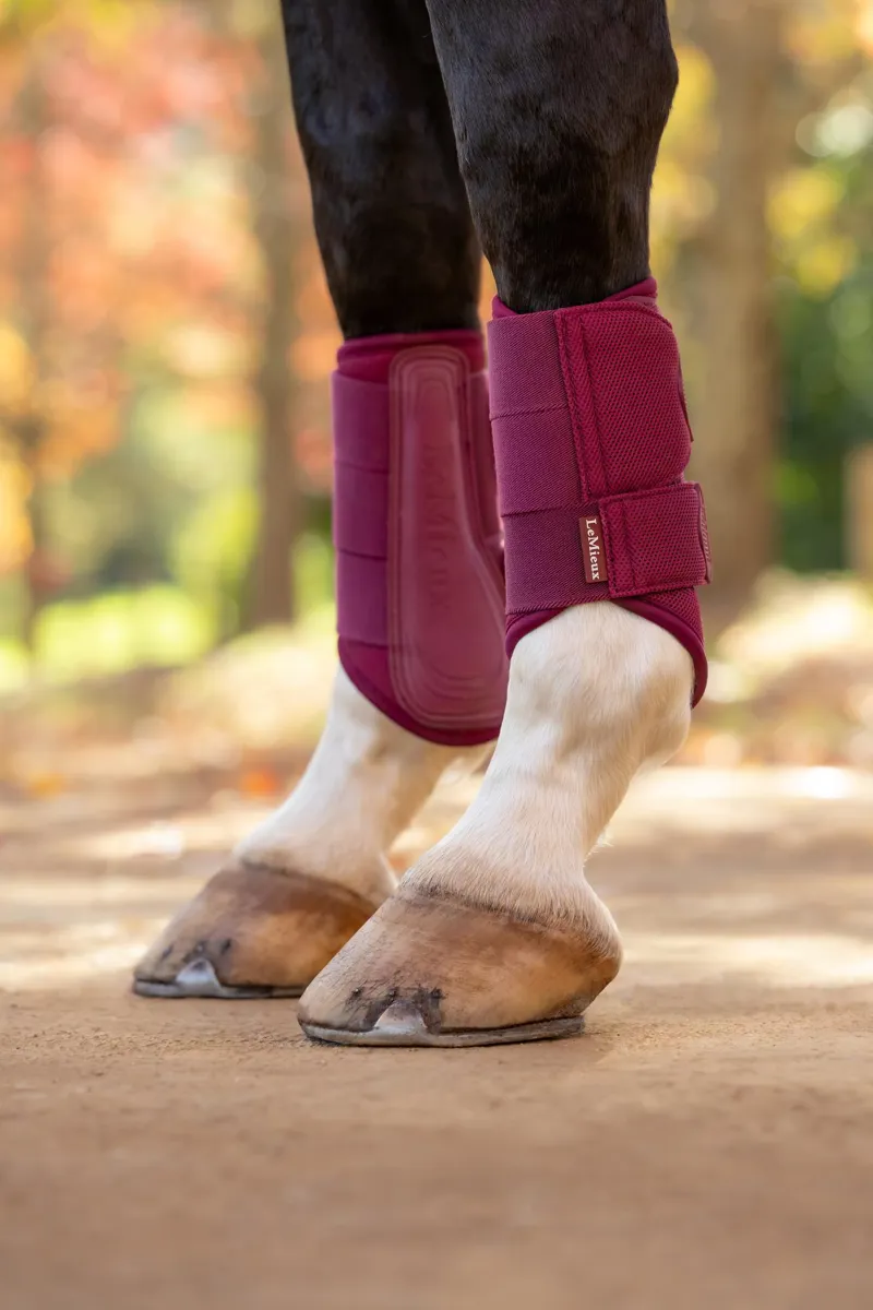LeMieux Arika Mesh Brushing Boots in Blackberry-3