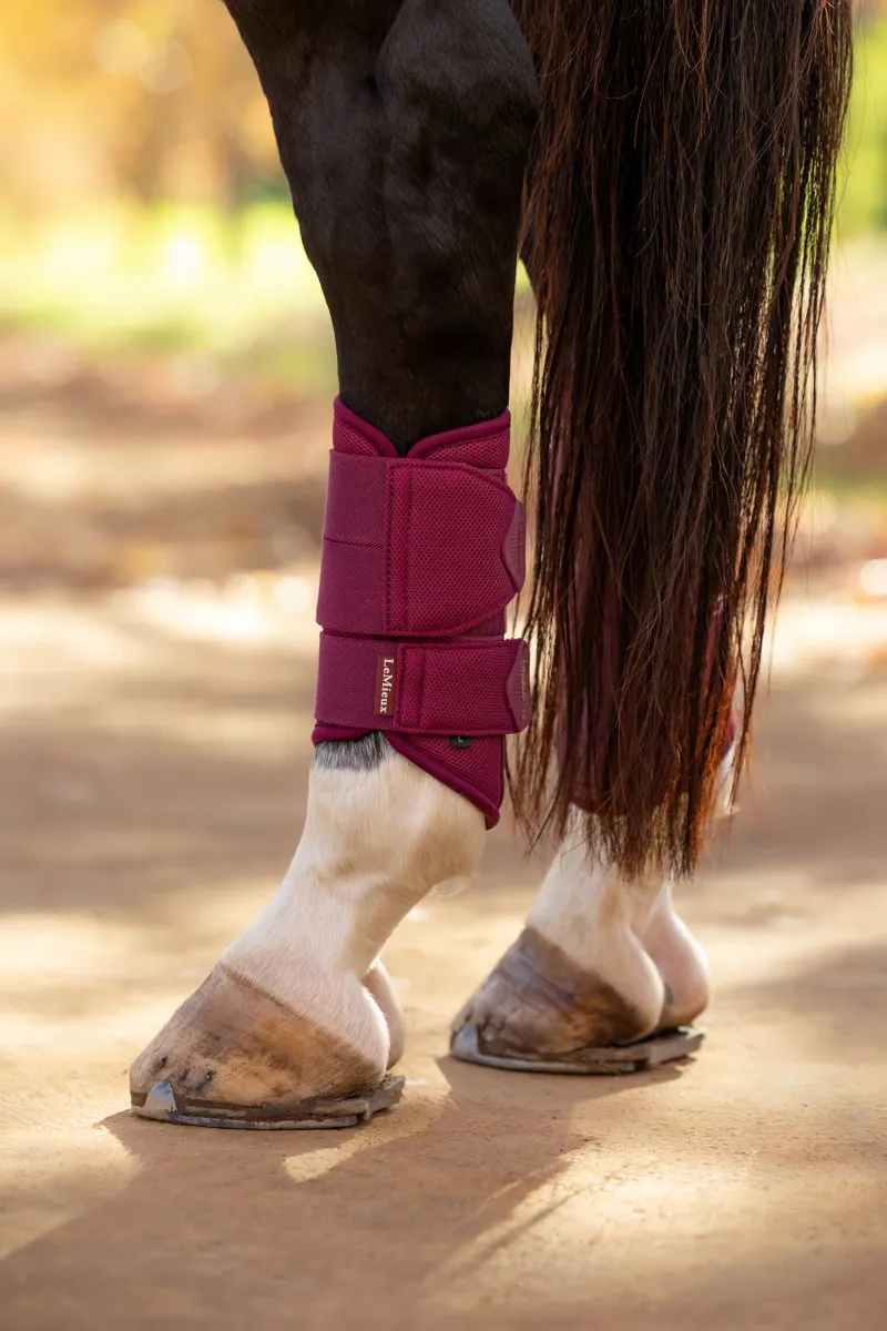 LeMieux Arika Mesh Brushing Boots in Blackberry-4