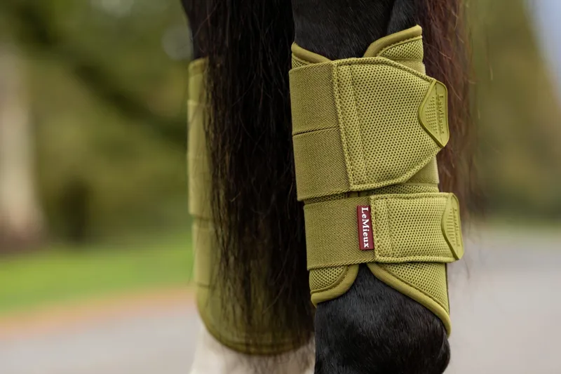  LeMieux Arika Mesh Brushing Boots in Gooseberry-4
