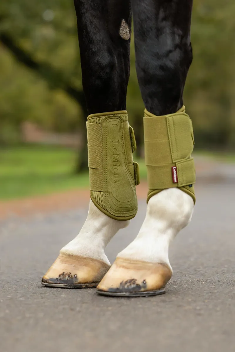  LeMieux Arika Mesh Brushing Boots in Gooseberry-5