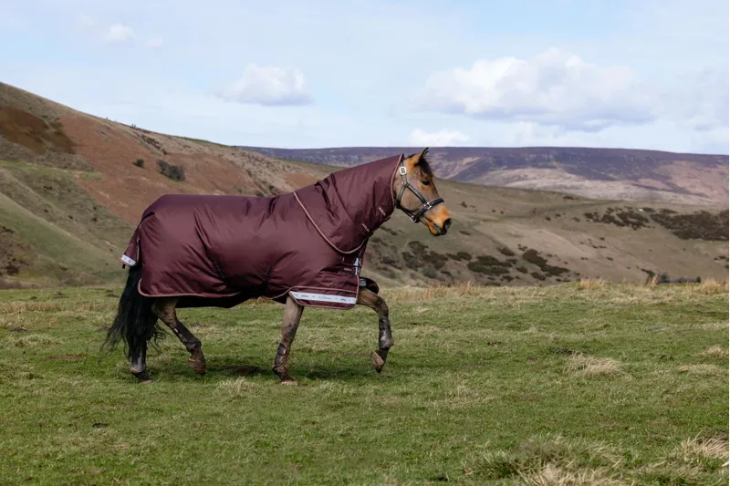 LeMieux Arika Ripstop 100g Turnout Rug in Bramble-5