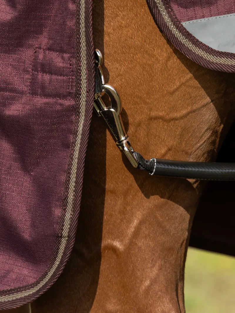 LeMieux Arika Ripstop 100g Turnout Rug in Bramble-4