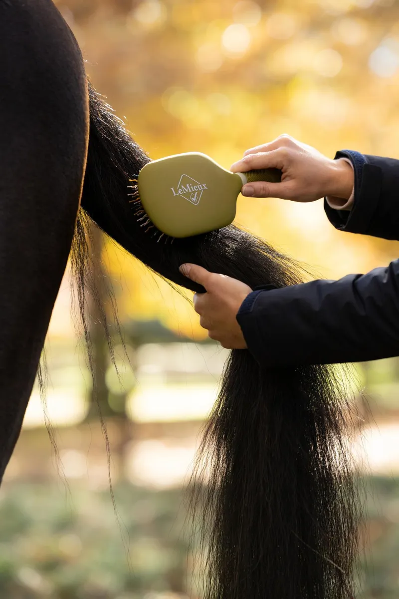LeMieux Tangle Tidy Gooseberry-2