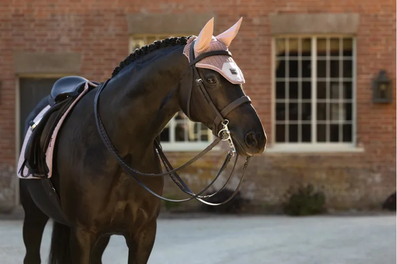LeMieux Heritage Fly Hood in Wild Rose-1
