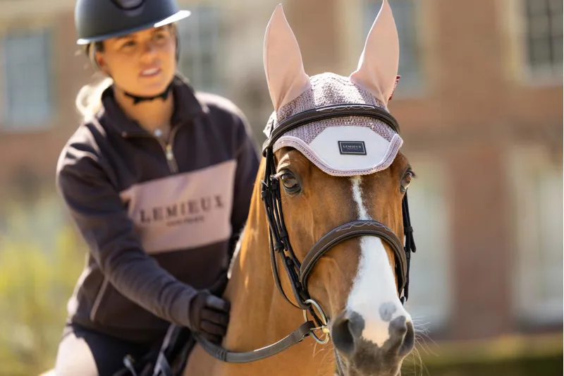 LeMieux Heritage Fly Hood in Wild Rose-3